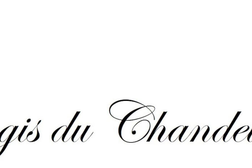 Logis Du Chandelier Le Puy-en-Velay Buitenkant foto